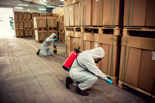 Reliable Dublin, PA Pest Control Solutions