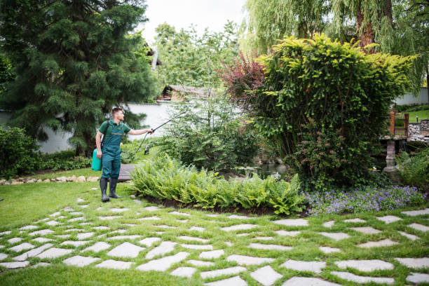 Best Pest Removal Services  in Dublin, PA