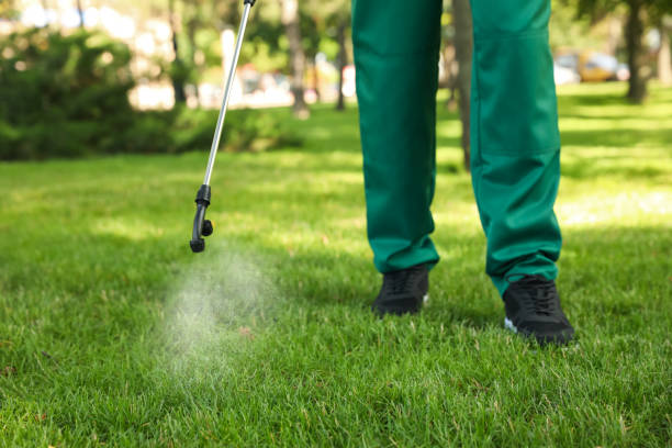 Best Termite Control Services  in Dublin, PA