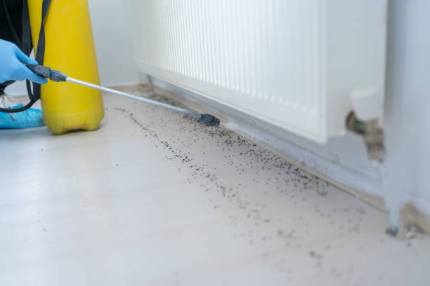 Best Pest Control Near Me  in Dublin, PA