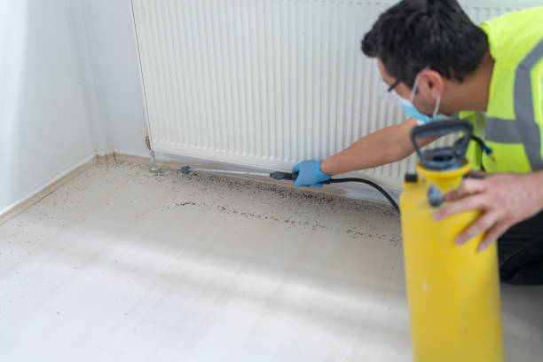 Best Flea Control Services  in Dublin, PA